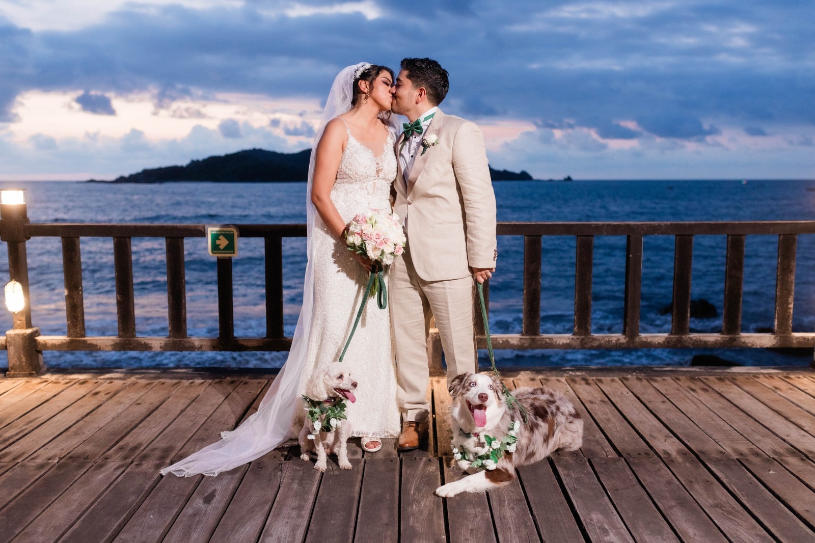 Pareja en boda dog friendly con sus mascotas